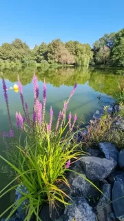 Sarvar-Apartman-24